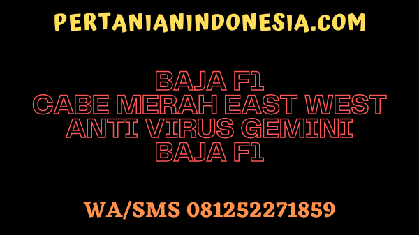 Baja F1 Cabe Merah East West Anti Virus Gemini